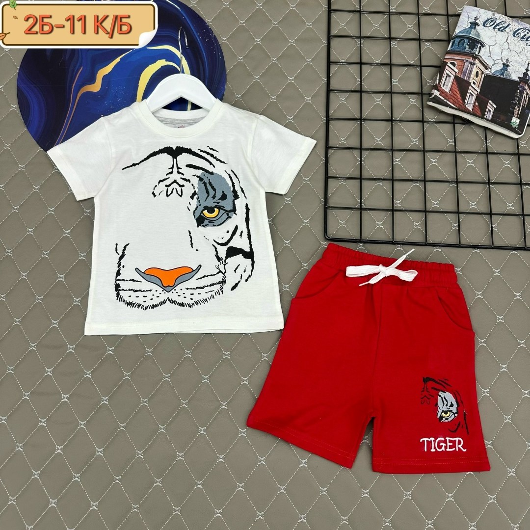 комплект одежды для мальчика,костюм детский,летний костюм для мальчика,детские костюмы,костюм комплекты