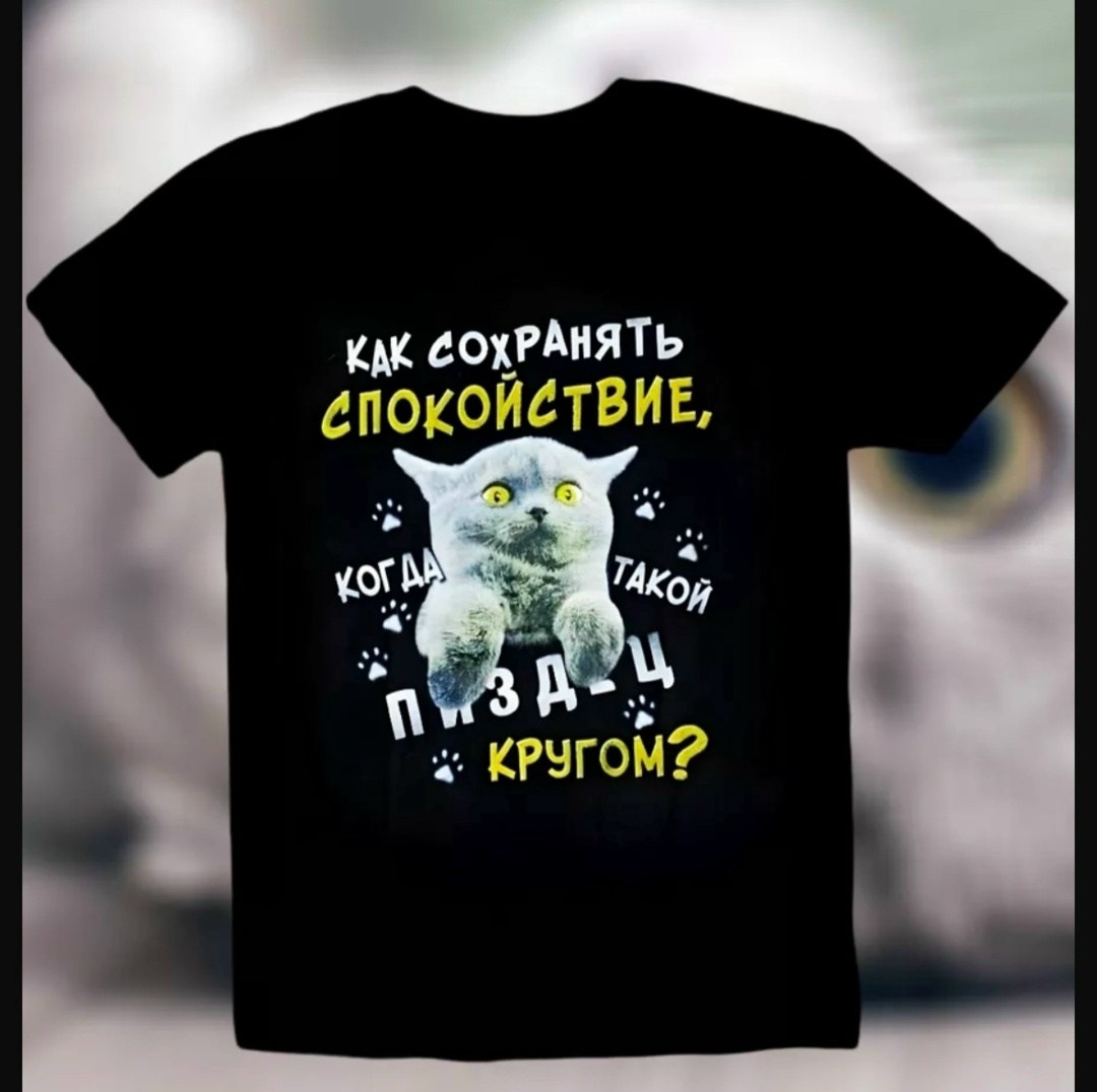 не верьте слухам я еще хуже футболка,футболка не верьте слухам,не верьте слухам я еще хуже надпись,не верьте слухам я еще хуже,футболка с принтом не верьте слухам я еще хуже