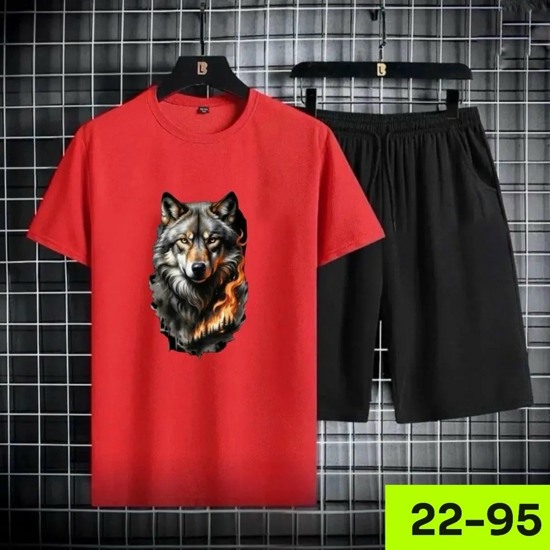 комплект футболки,костюм спортивный мужской,летние костюмы,футболки мужские,костюм мужской шорты и футболка