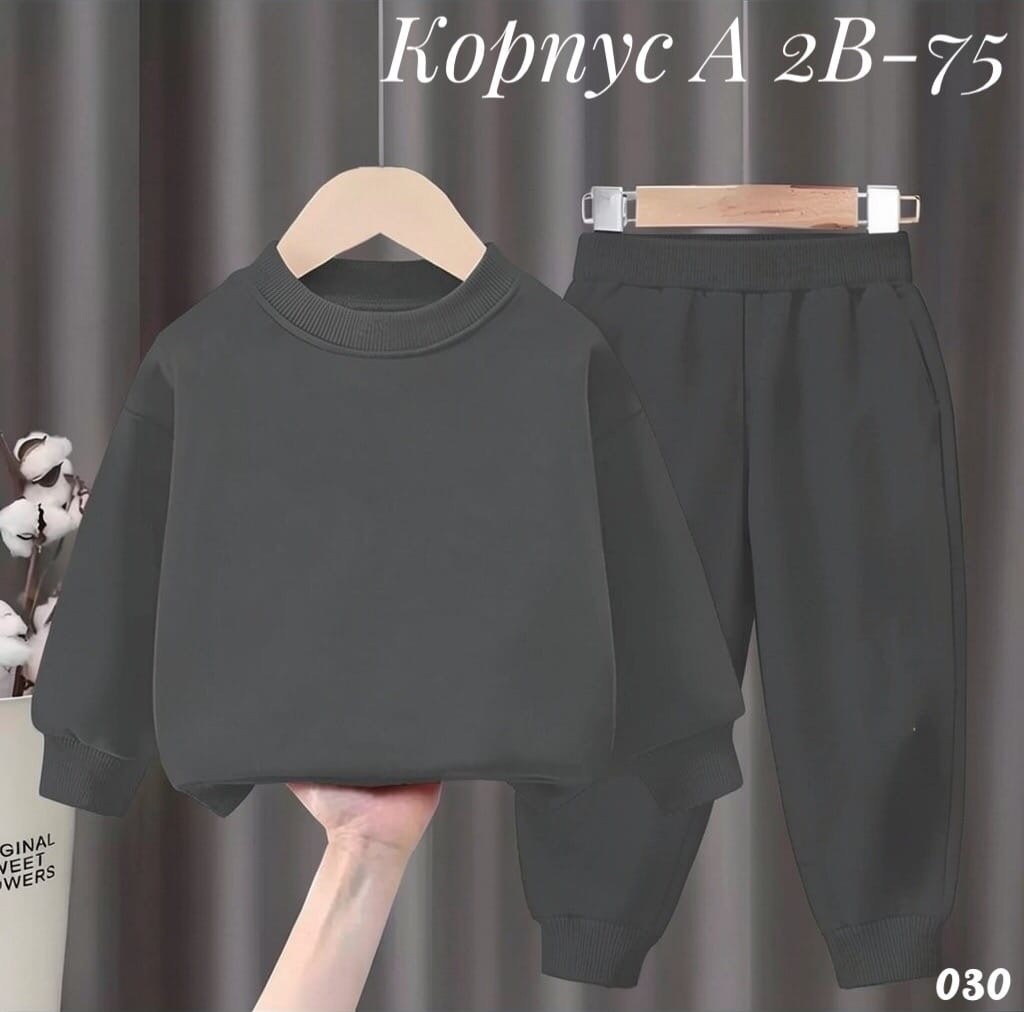 комплект костюм,костюм на флисе,детский костюм,детский спортивный костюм,костюм спортивный для мальчика