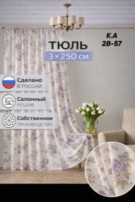 Одежда