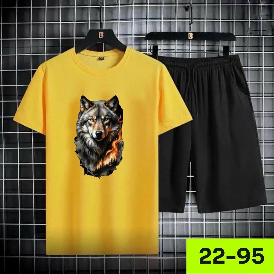 комплект футболки,костюм спортивный мужской,летние костюмы,футболки мужские,костюм мужской шорты и футболка