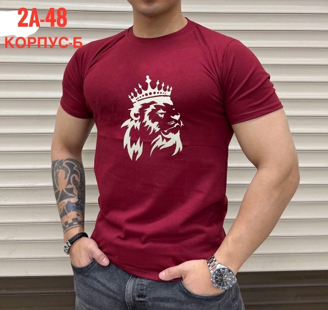 футболки мужские,мужские футболки ,футболки для мужчин,футболка поло мужская,футболка