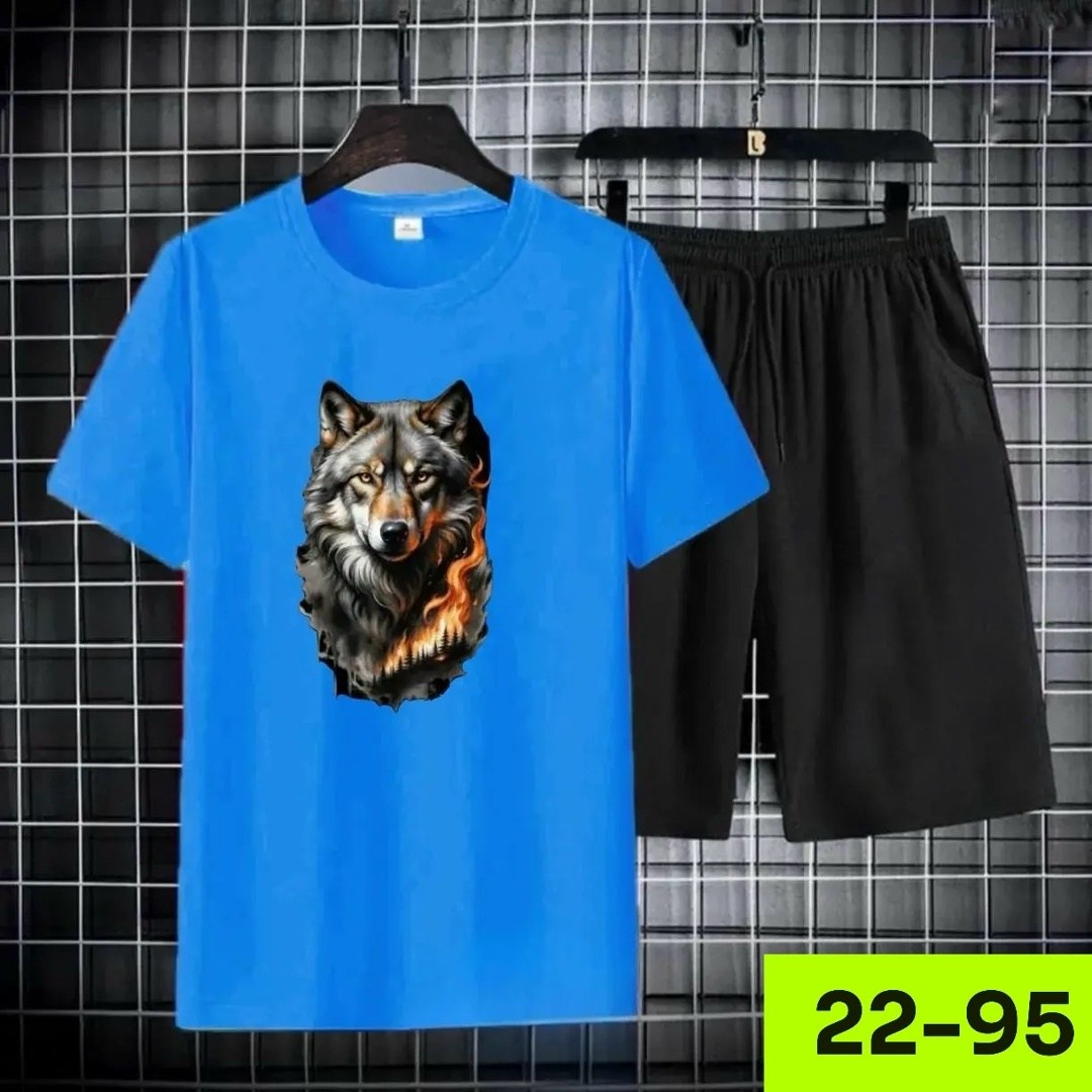 комплект футболки,костюм спортивный мужской,летние костюмы,футболки мужские,костюм мужской шорты и футболка