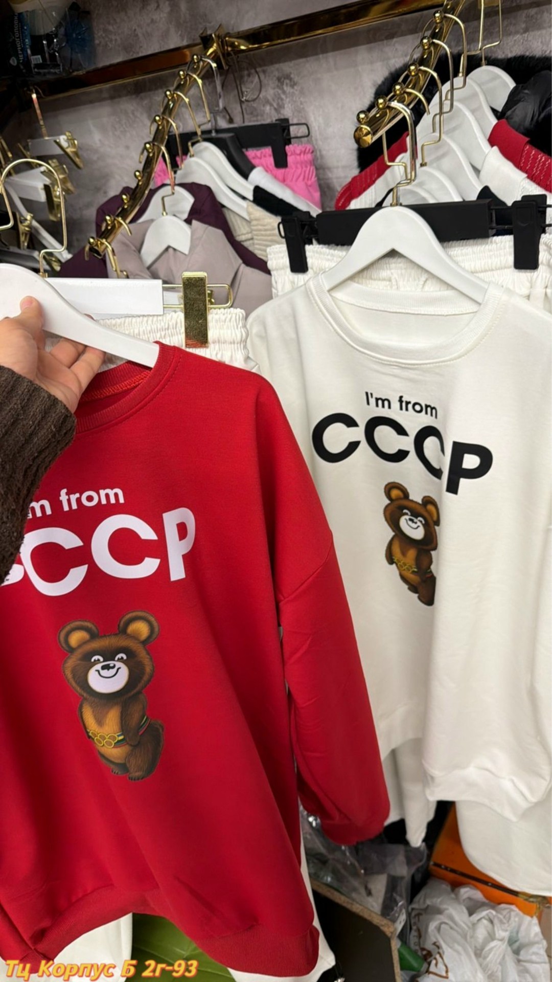 костюм женский теплый,спортивные костюмы ссср,стильные костюмы,костюм женский,свитшот женский