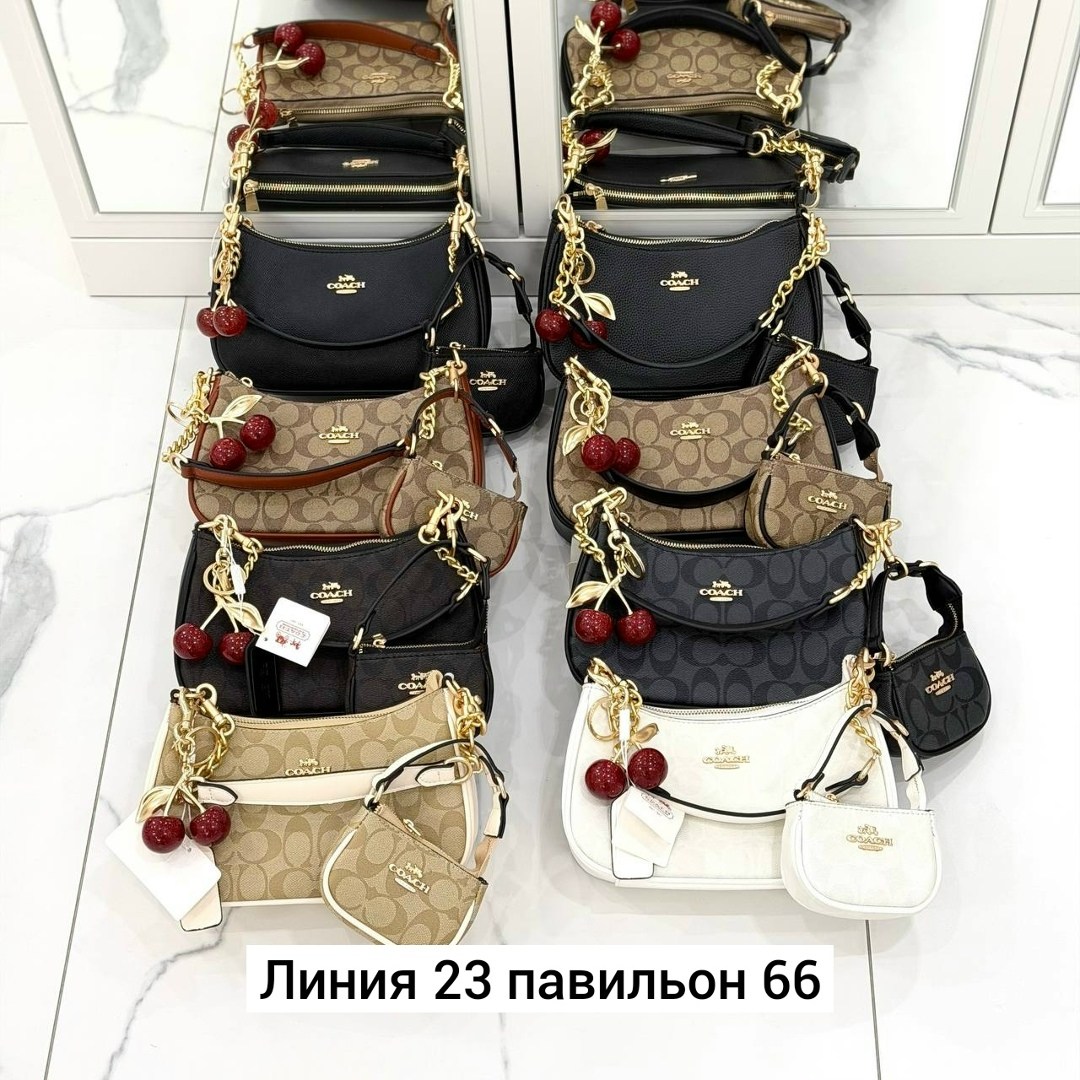 сумка женская coach,сумки модные,сумка coach,сумка,сумки женская