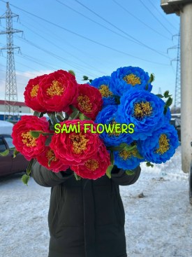 Одежда