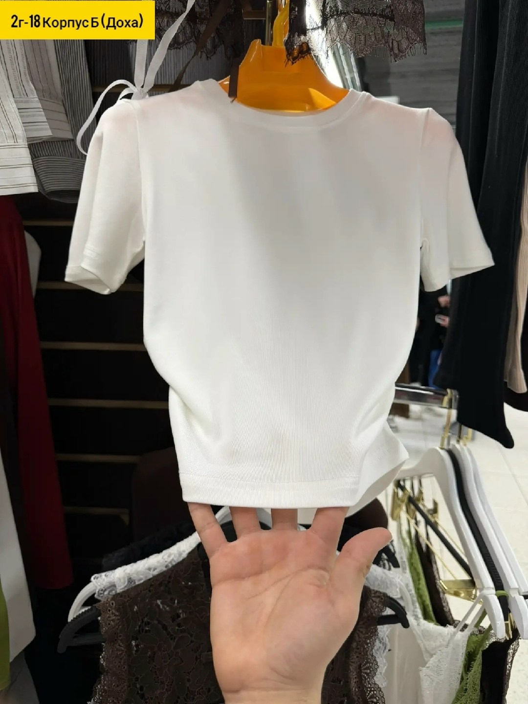 женская футболка,базовая футболка женская,футболки и топы,футболки для женщин,футболка женская черная