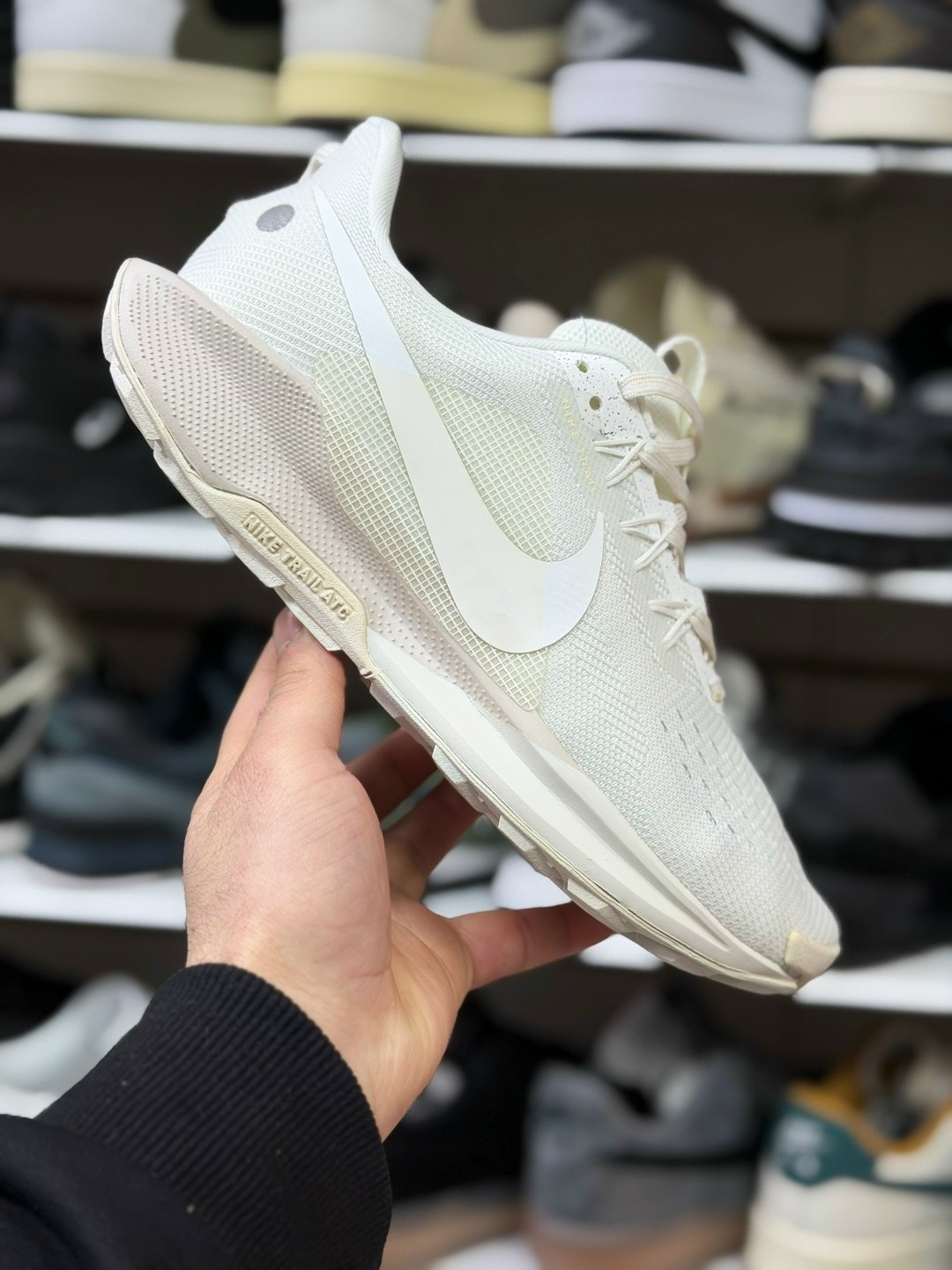 кроссовки,nike pegasus trail 5 gore tex,кроссовки nike pegasus trail,nike pegasus trail 5,кроссовки nike