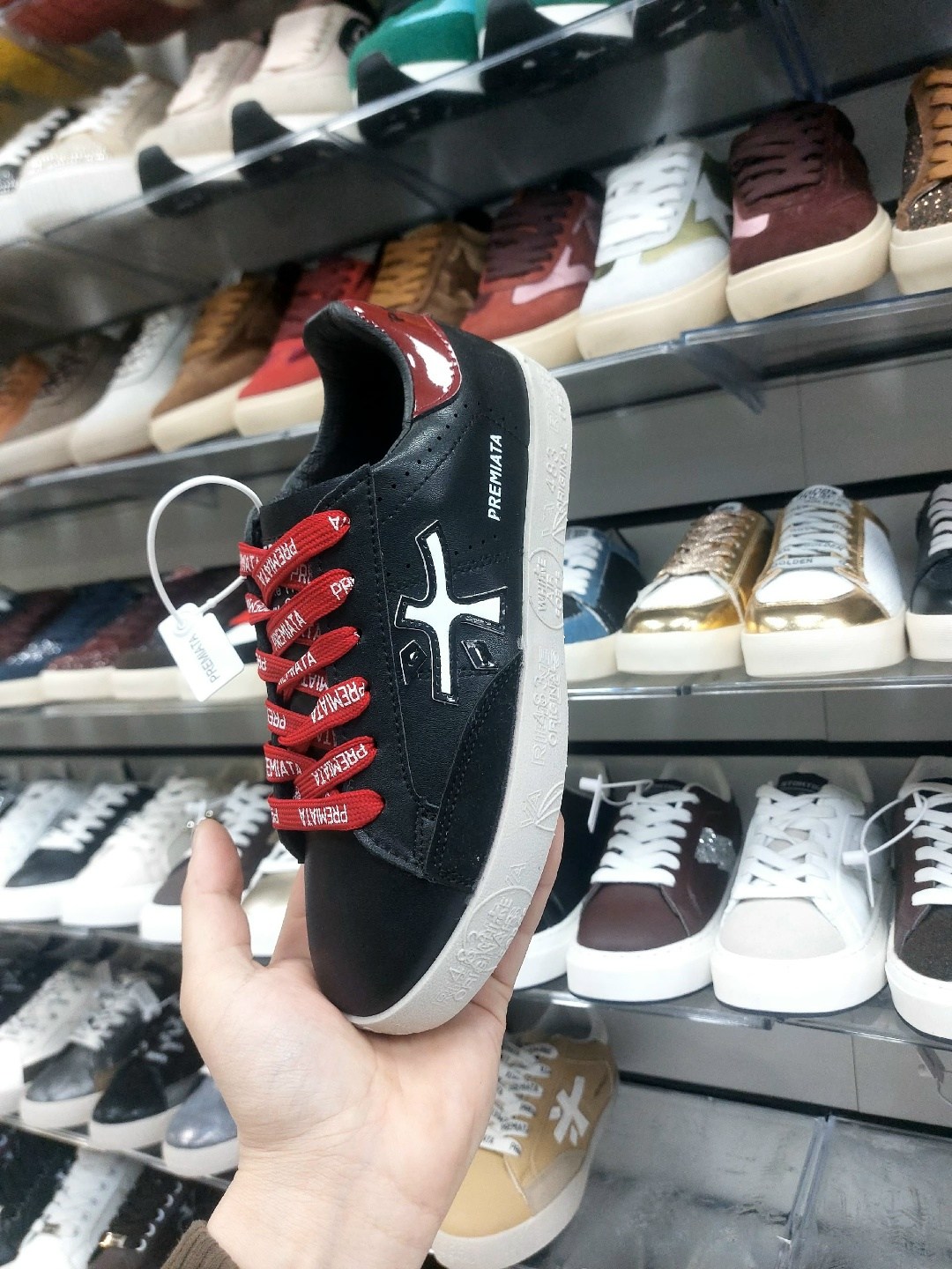 ,кроссовки premiata,кроссовки premia,женские кроссовки premiata,кроссовки