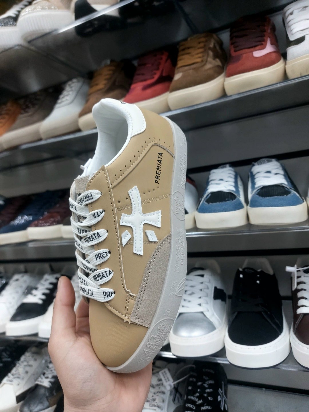 ,кроссовки premiata,кроссовки premia,женские кроссовки premiata,кроссовки