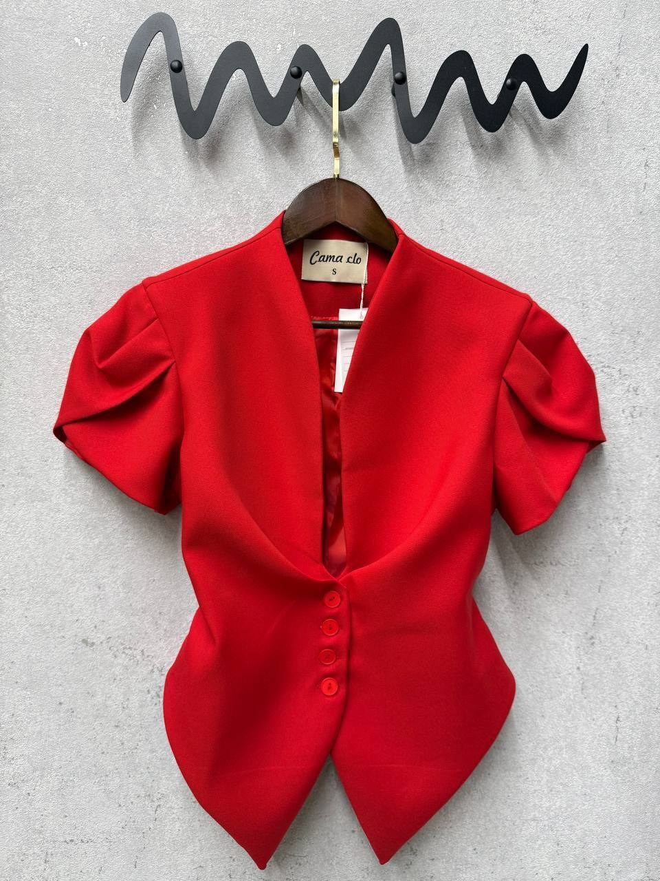 брючный костюм с жилеткой,модные брюки,костюм с брюками,костюм стильный,брючные костюмы женские