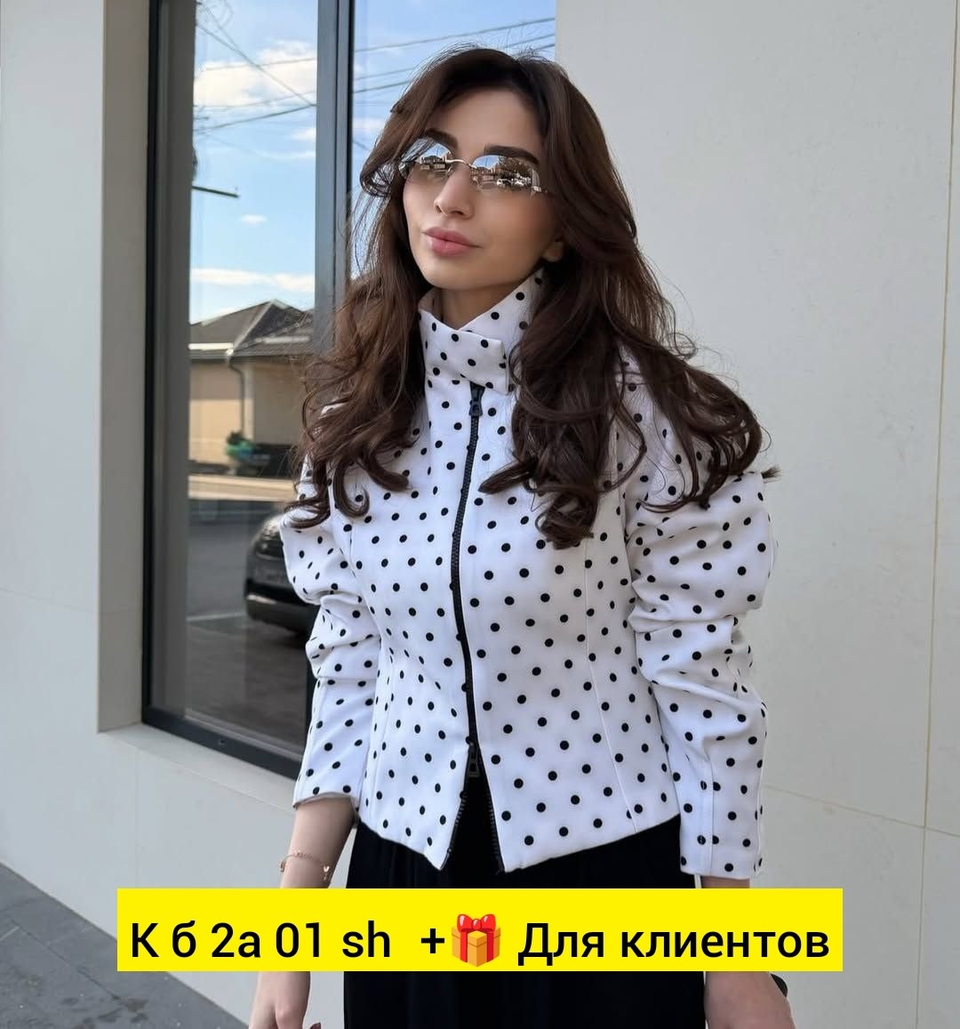 модные блузы,рубашка женская,блузка женская,блузка женская модная,демисезонная куртка