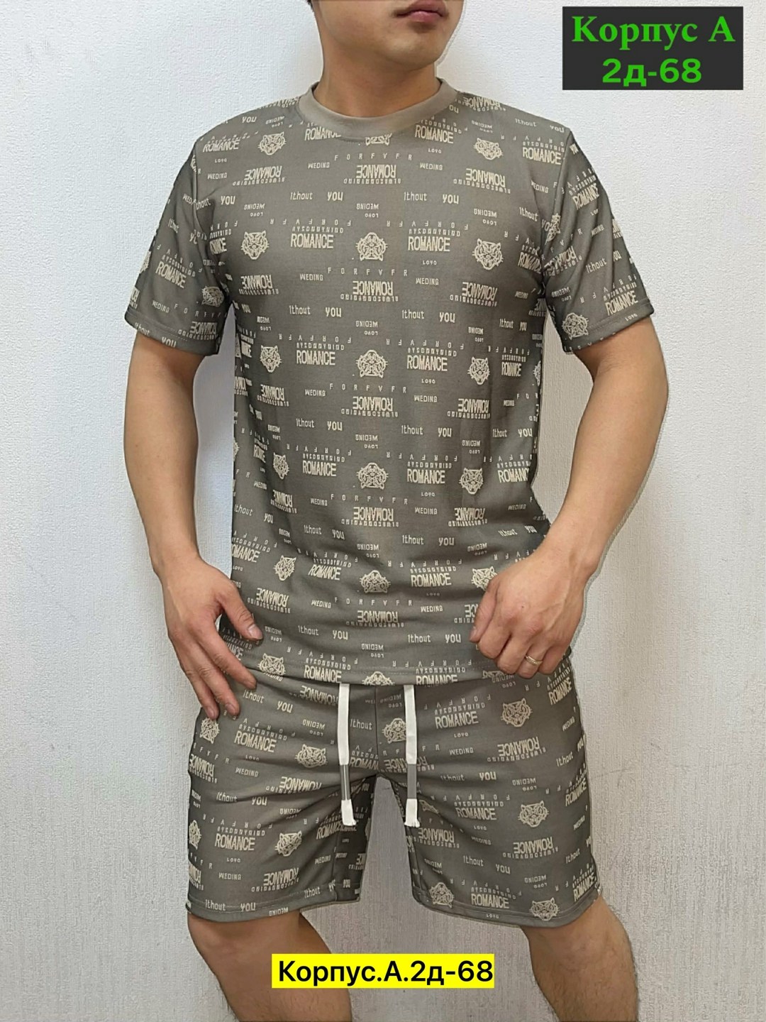 костюм мужской,костюм спортивный мужской,костюм для мужчин,футболки мужские,костюм летний мужской