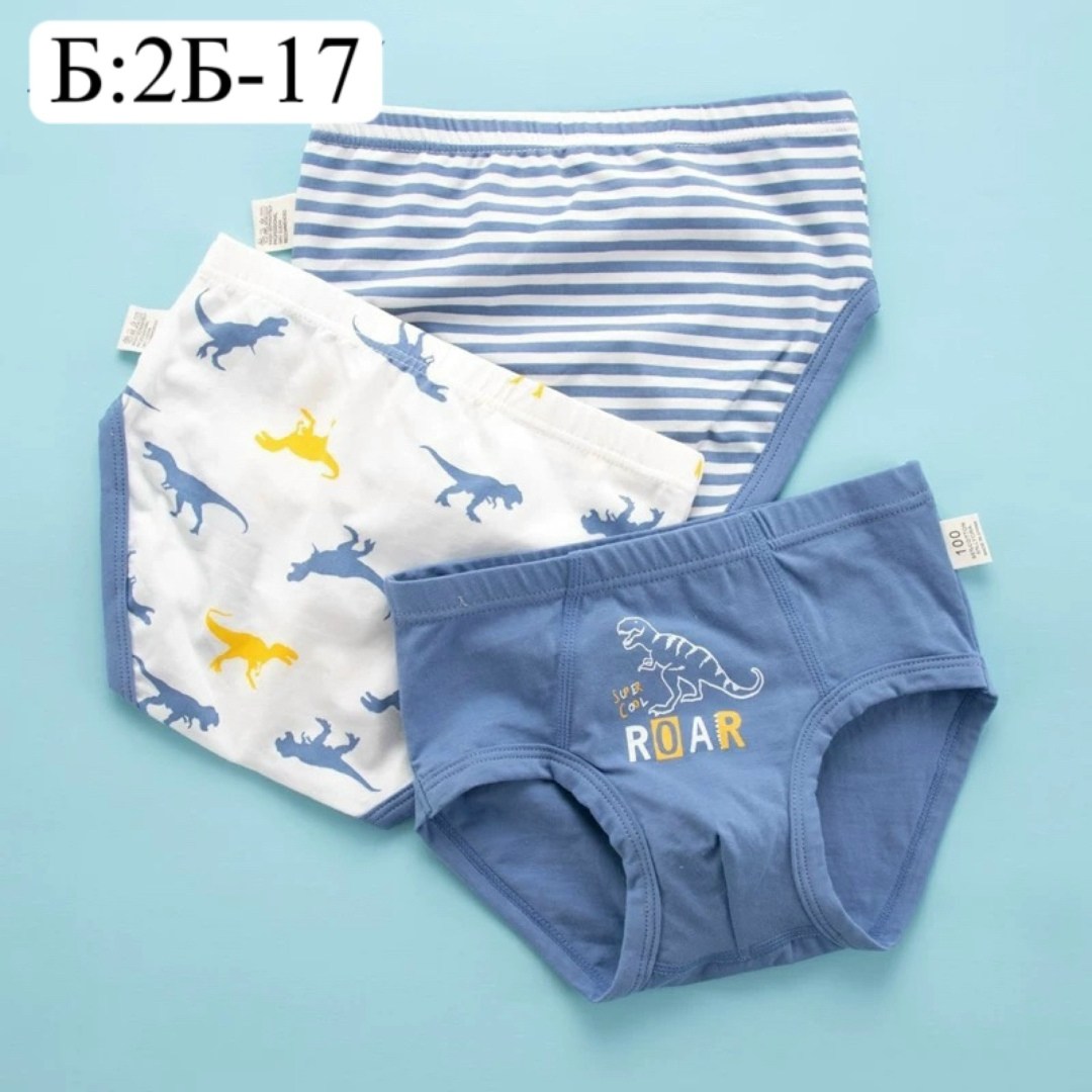 детские нижнее белье,детские трусы,хлопковые трусы,трусы для мальчиков,трусики детские