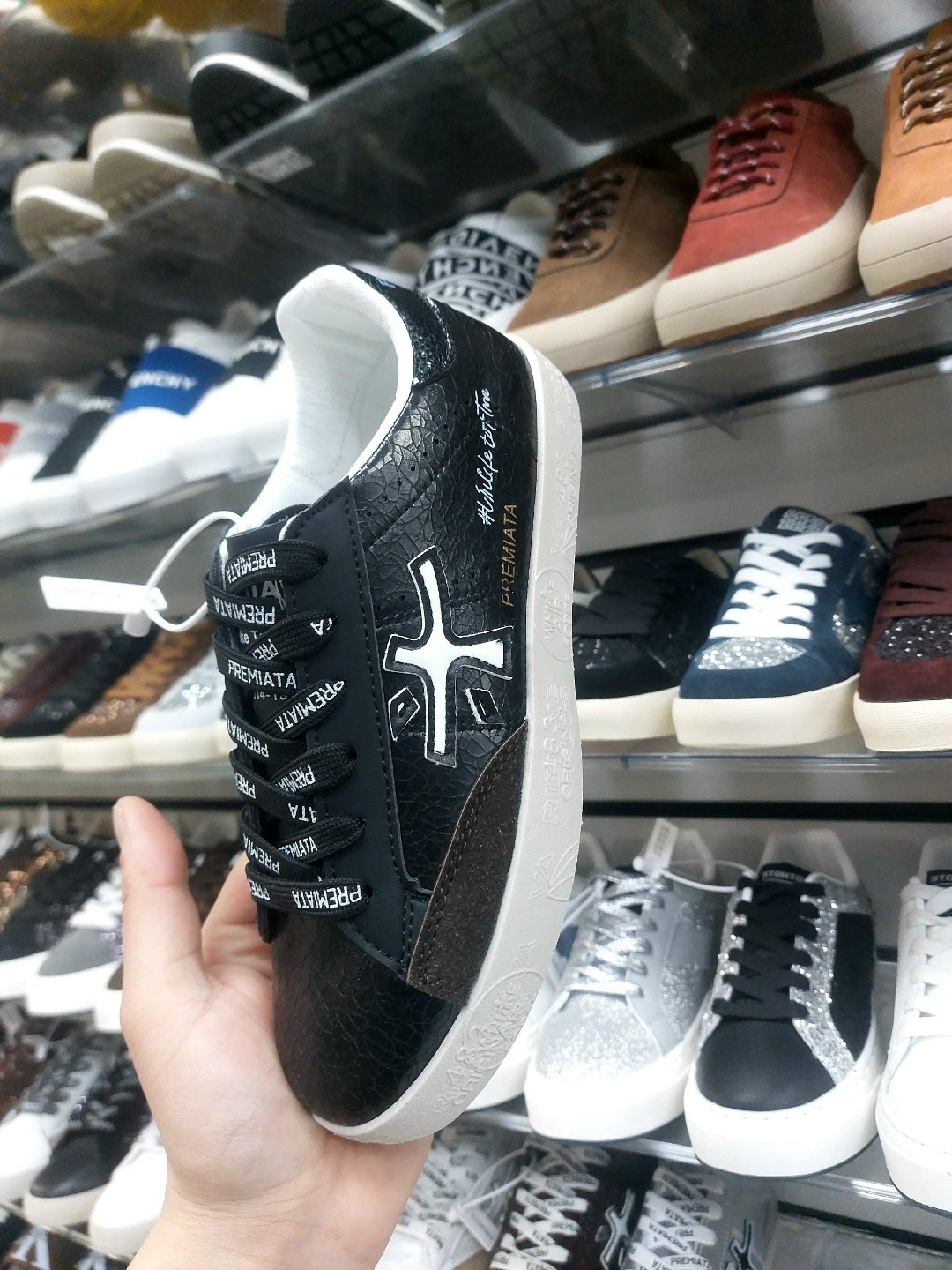 женские кеды premiata,кеды premiata,,кроссовки premiata,кроссовки premiata женские