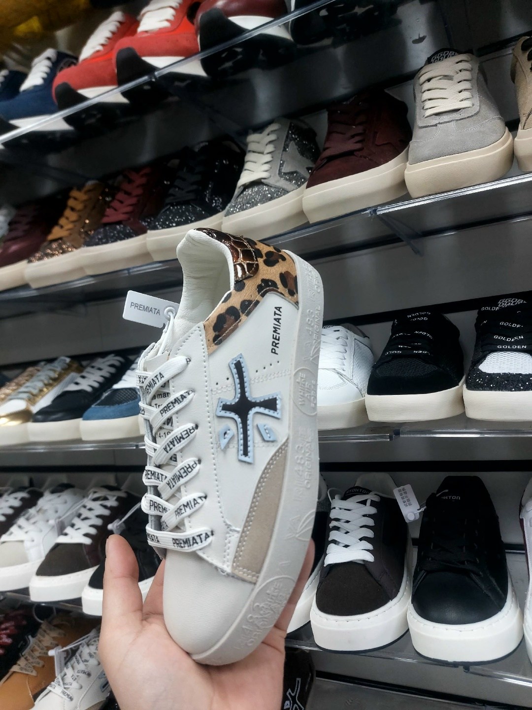 ,кроссовки premiata,кроссовки premia,женские кроссовки premiata,кроссовки