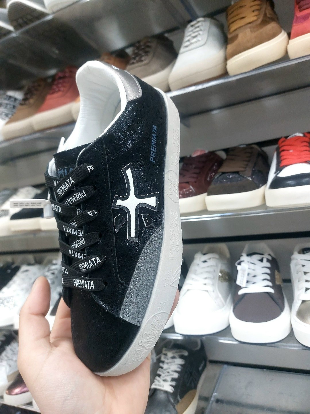 женские кеды premiata,кеды premiata,,кроссовки premiata,кроссовки premiata женские