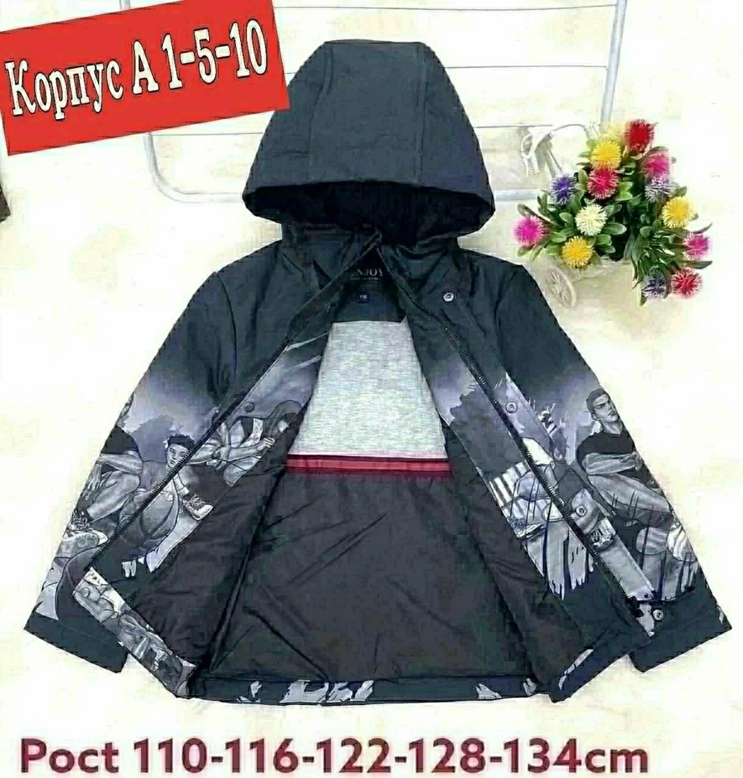 демисезонная куртка для мальчиков,демисезонная куртка,куртка,детская демисезонная куртка,куртка детский