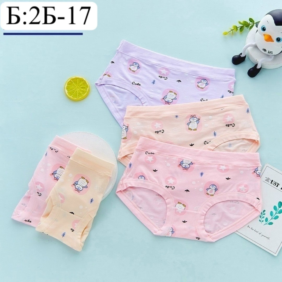трусы для девочки хлопковые,хлопковые детские трусики,хлопковые трусы для маленьких девочек 4 шт.,детские трусики для девочки хлопковое нижнее белье с принтом,4 шт. детских хлопковых трусиков для дево