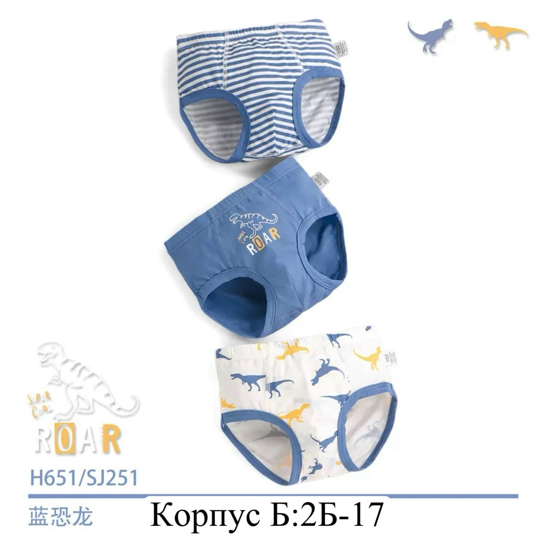 детские нижнее белье,трусы для мальчиков,трусы для мальчика детские,детские трусы,нижнее белье для мальчика