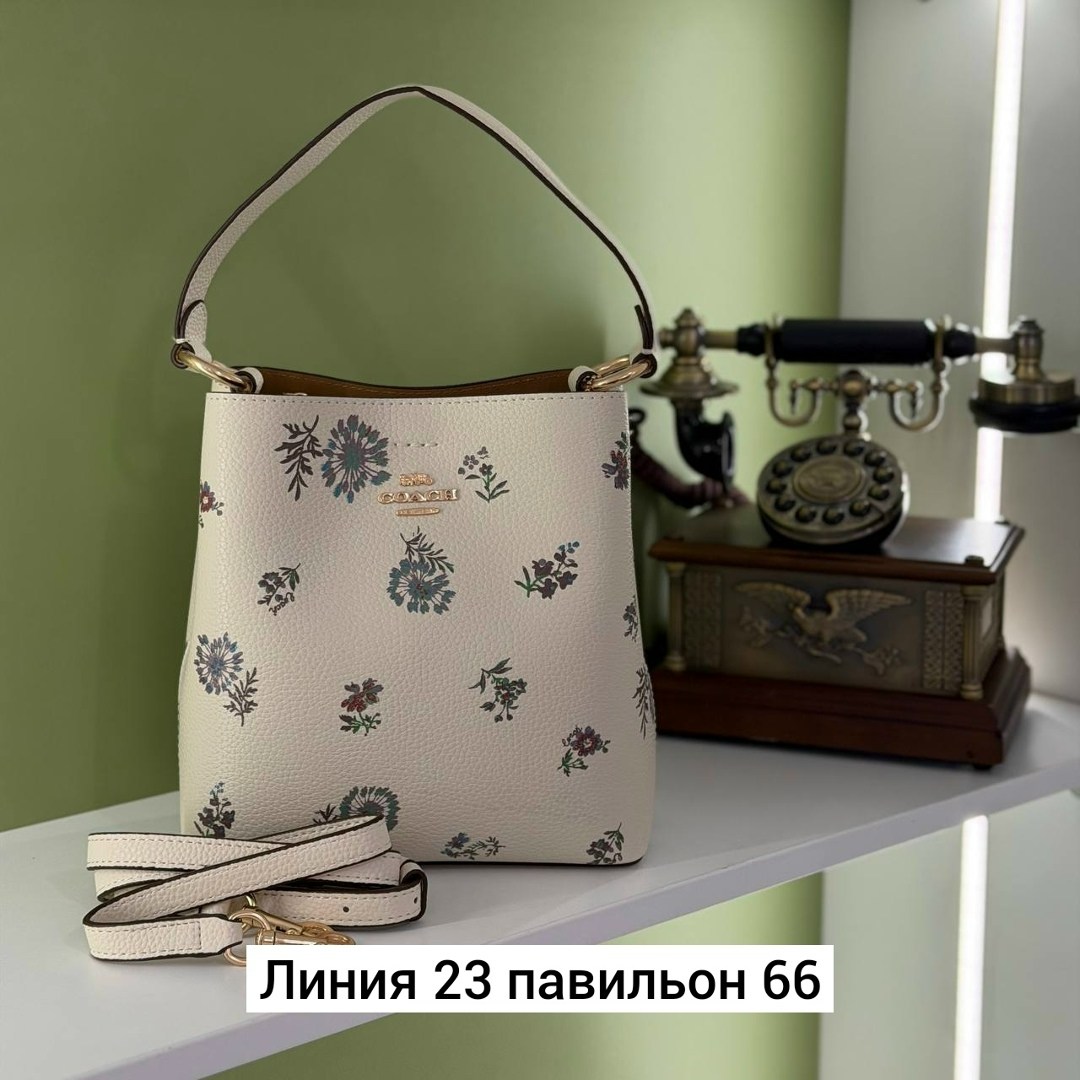 сумка,сумки женская,coach сумка женская,модная сумка,coach сумка