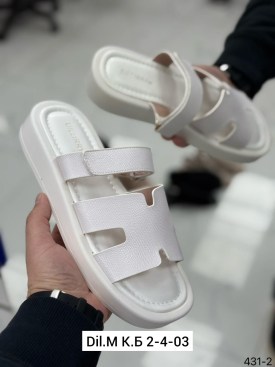 Сланцы