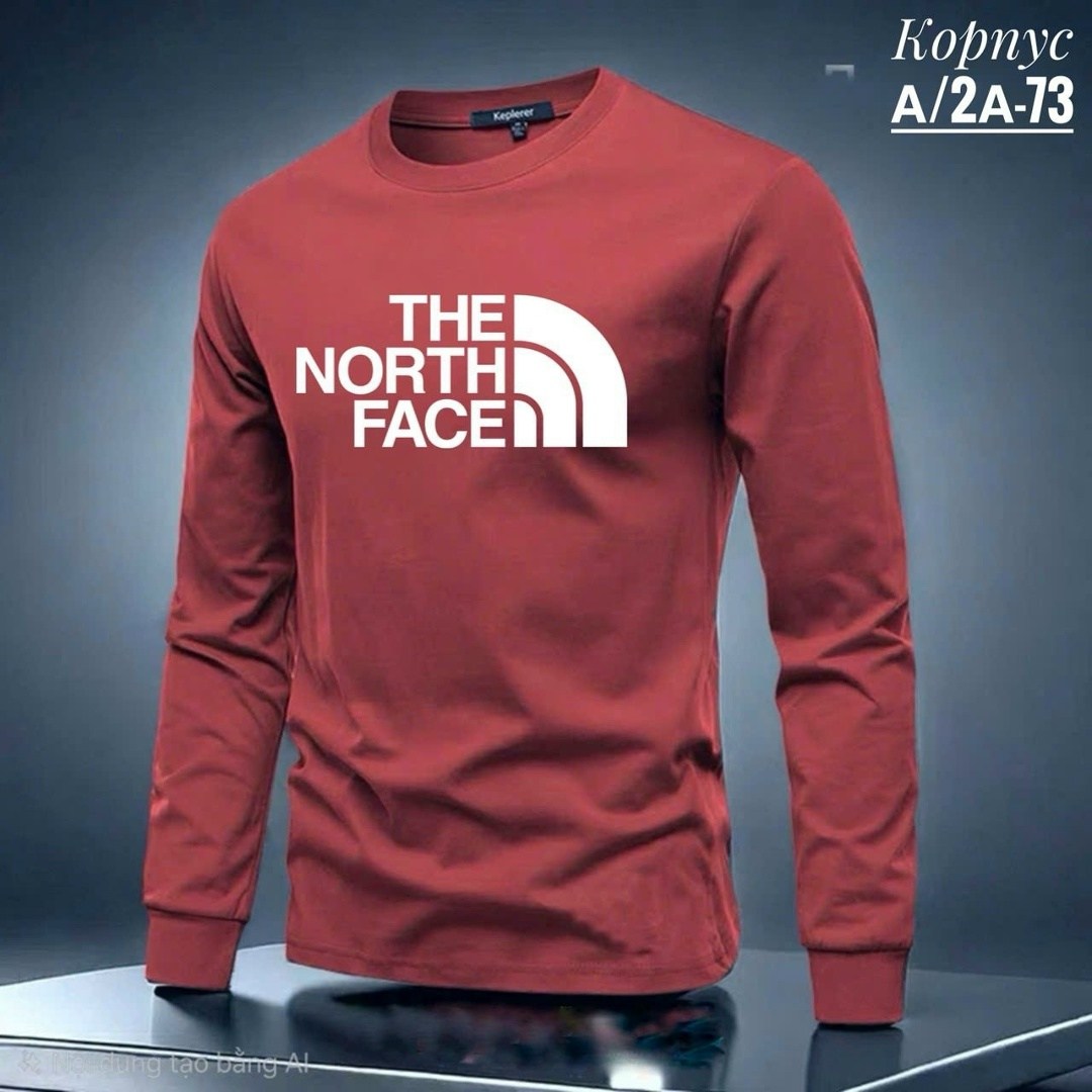 мужские толстовки the north face,лонгслив мужской,свитшот мужской,мужские свитшоты,толстовка the north face