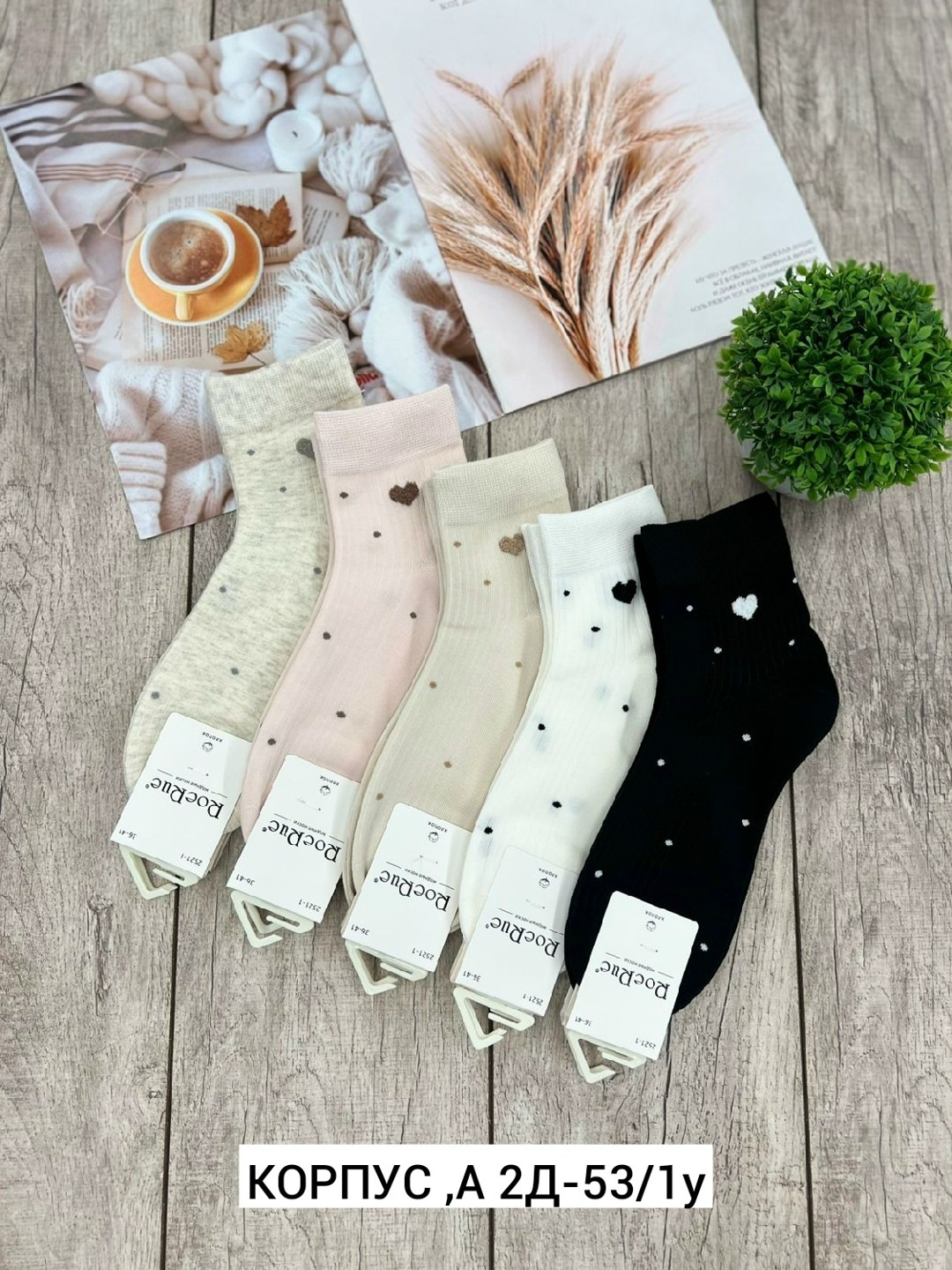 носки средние спортивные в горошек набор 5 пар syltan,носки женские,носки женские 10 пар,носки женские набор,носки женские набор 5 пар