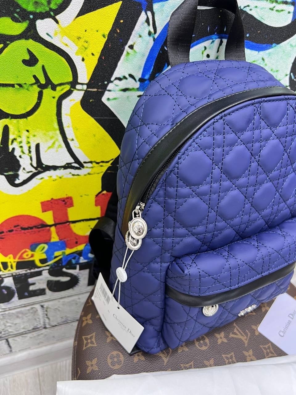 рюкзак dior,рюкзак диор,рюкзак кристиан диор,рюкзак диор оригинал,рюкзак диор женский оригинал