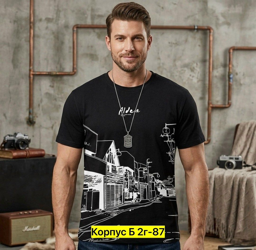 футболки мужские,футболки мужские с принтом,футболки женские мужские,футболка,футболка мужская серая