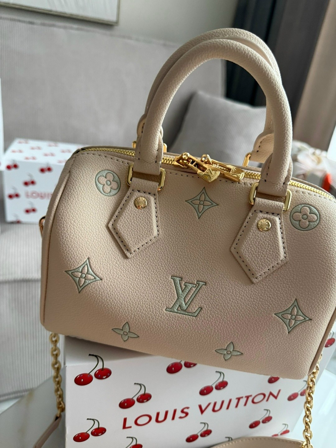 louis vuitton женская сумка,louis vuitton сумка,louis vuitton сумка на плечо,louis vuitton speedy,louis vuiton