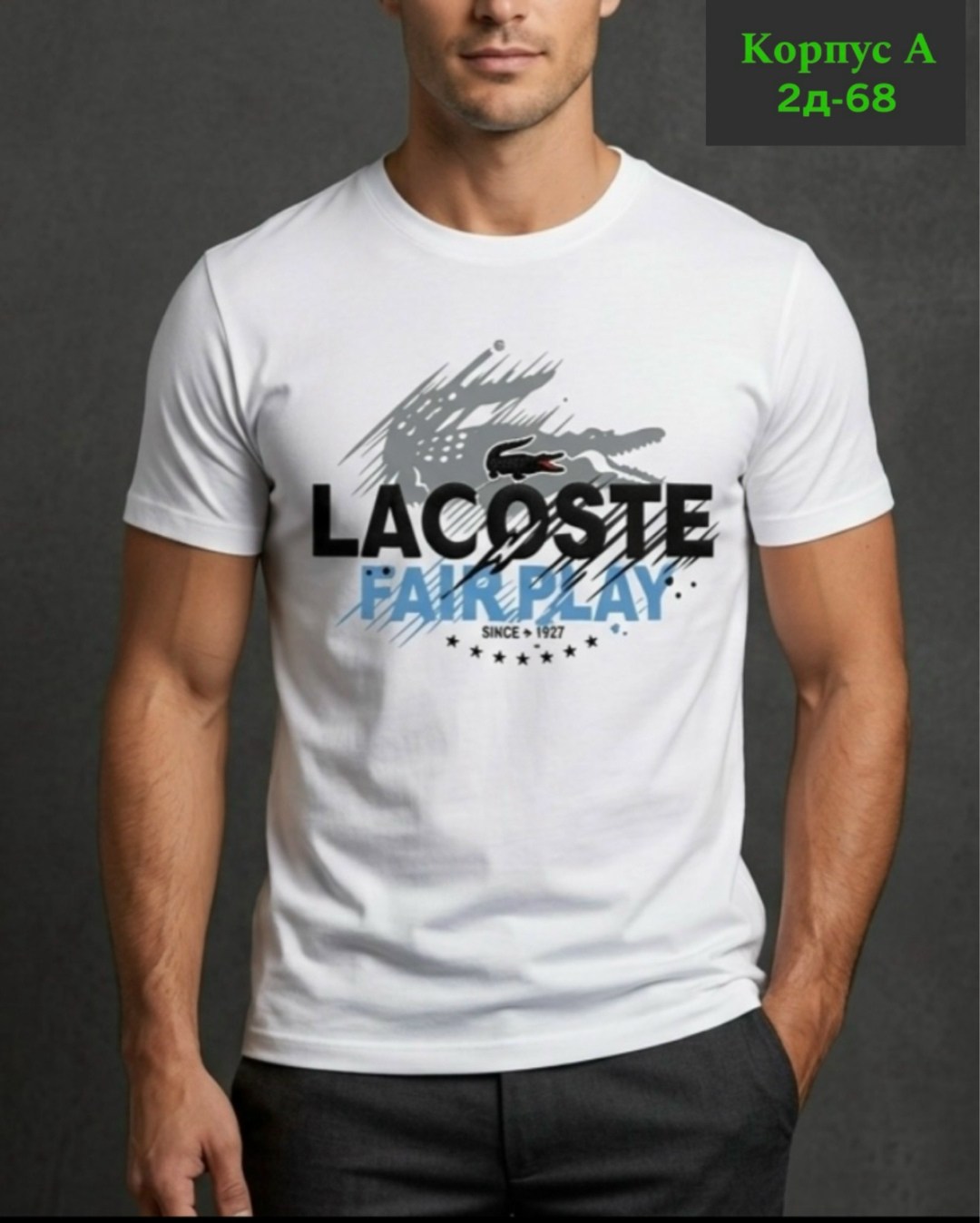 футболки мужские,дизайн футболки,футболки мужские с принтом,футболки мужские белые,футболка lacoste