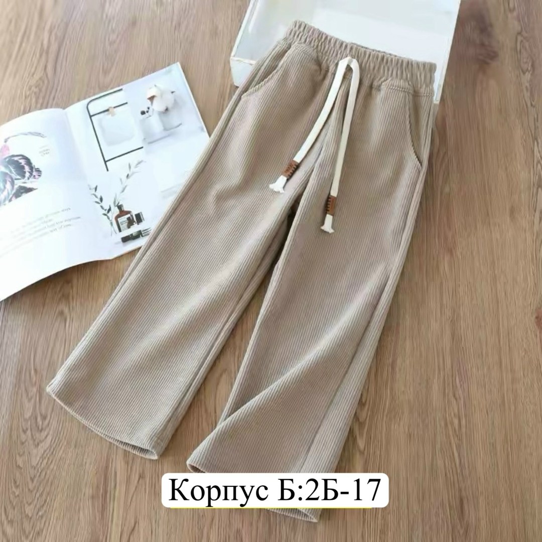 брюки для девочек,детские брюки,штаны для девочек,штаны с начесом,детские штаны