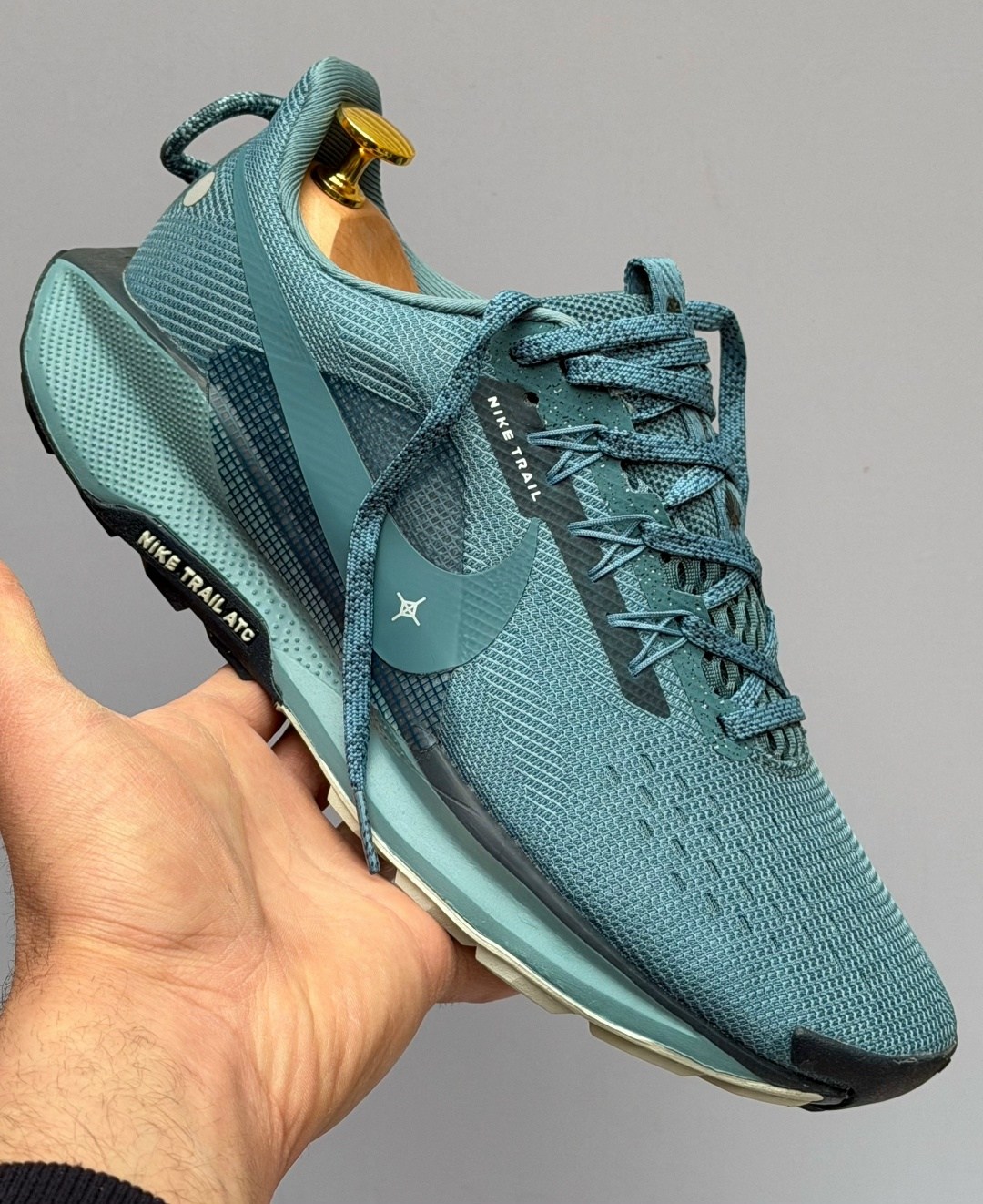 кроссовки nike pegasus trail,nike pegasus trail 5 gore tex,nike pegasus trail 5,кроссовки,кроссовки nike