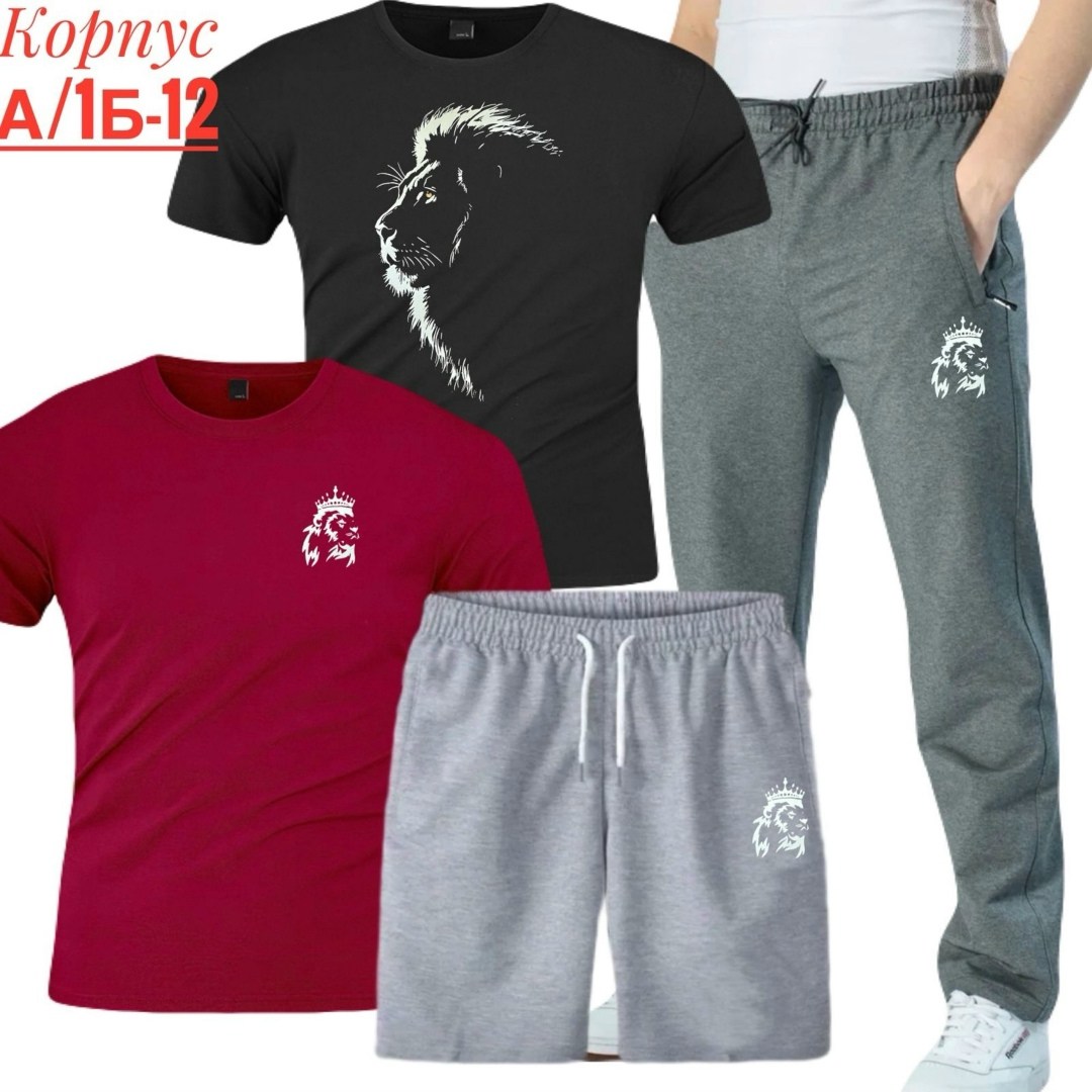 костюм спортивный мужской,костюм для мужчин,мужской спортивный костюм летний,мужские спортивные брюки,футболки комплект
