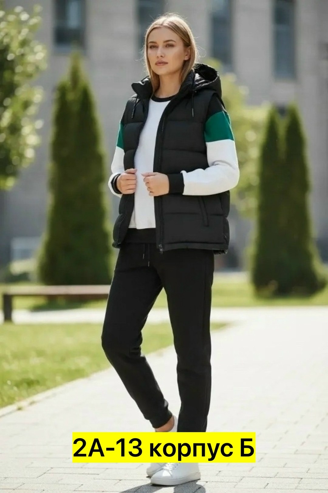 спортивный костюм женский тройка с жилеткой,спортивный костюм с безрукавкой женский,спортивный костюм женский тройка,спортивный костюм тройка с жилеткой,cпортивный костюм женский теплый