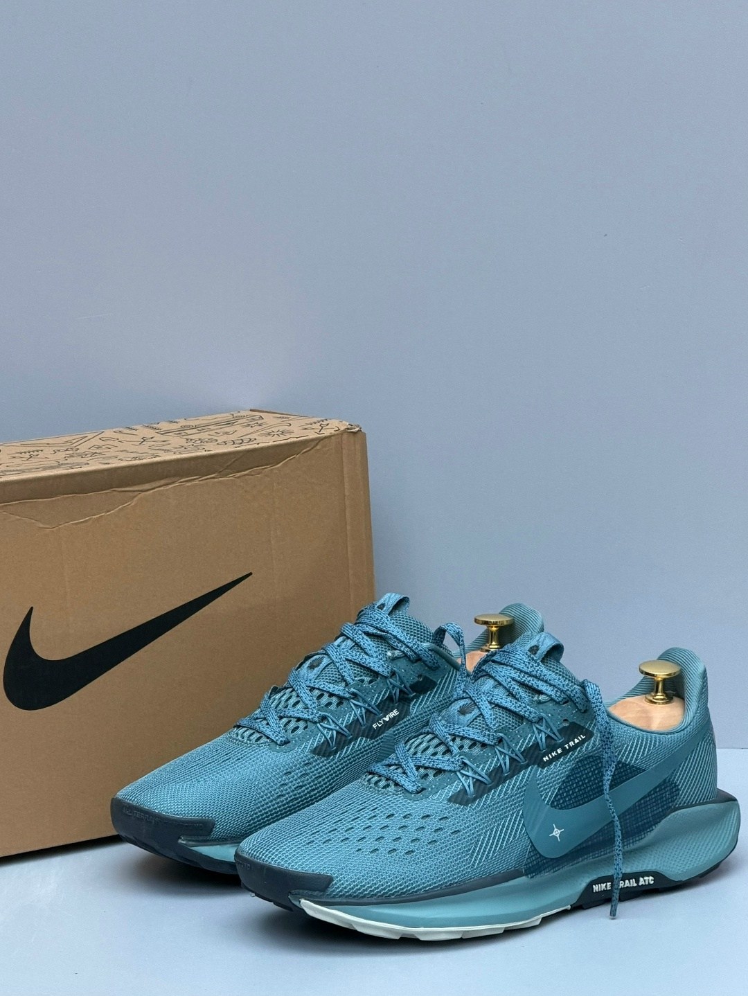 кроссовки nike pegasus trail,nike pegasus trail 5 gore tex,nike pegasus trail 5,кроссовки,кроссовки nike