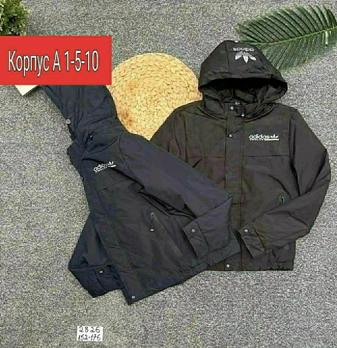 куртка на мальчика демисезонная,куртка детская демисезонная,демисезонная куртка,куртка на мальчика,куртка детский