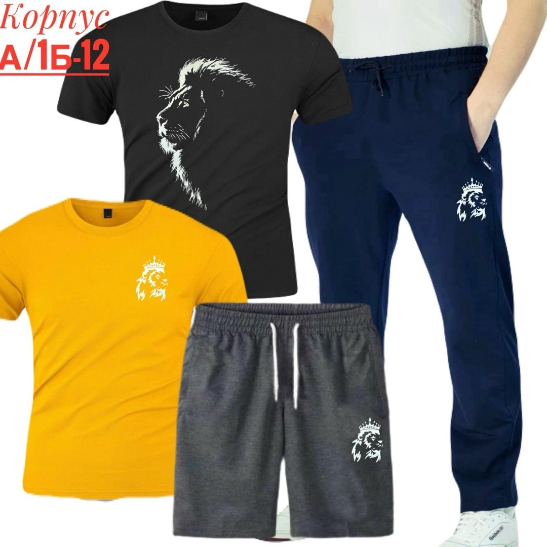 костюм спортивный мужской,костюм для мужчин,мужской спортивный костюм летний,мужские спортивные брюки,футболки комплект