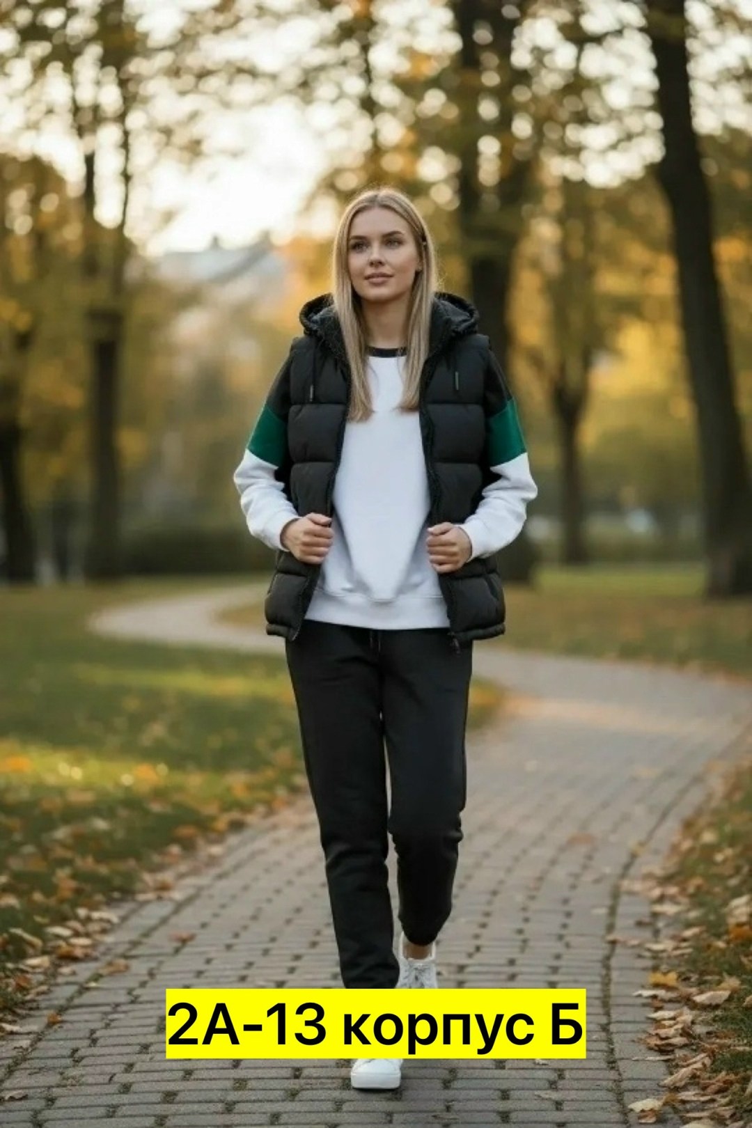 спортивный костюм женский тройка с жилеткой,спортивный костюм с безрукавкой женский,спортивный костюм женский тройка,спортивный костюм тройка с жилеткой,cпортивный костюм женский теплый