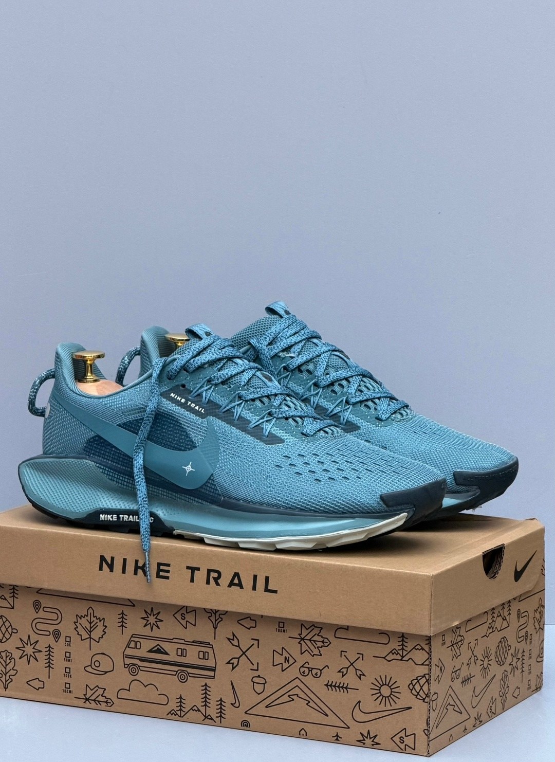 кроссовки nike pegasus trail,nike pegasus trail 5 gore tex,nike pegasus trail 5,кроссовки,кроссовки nike