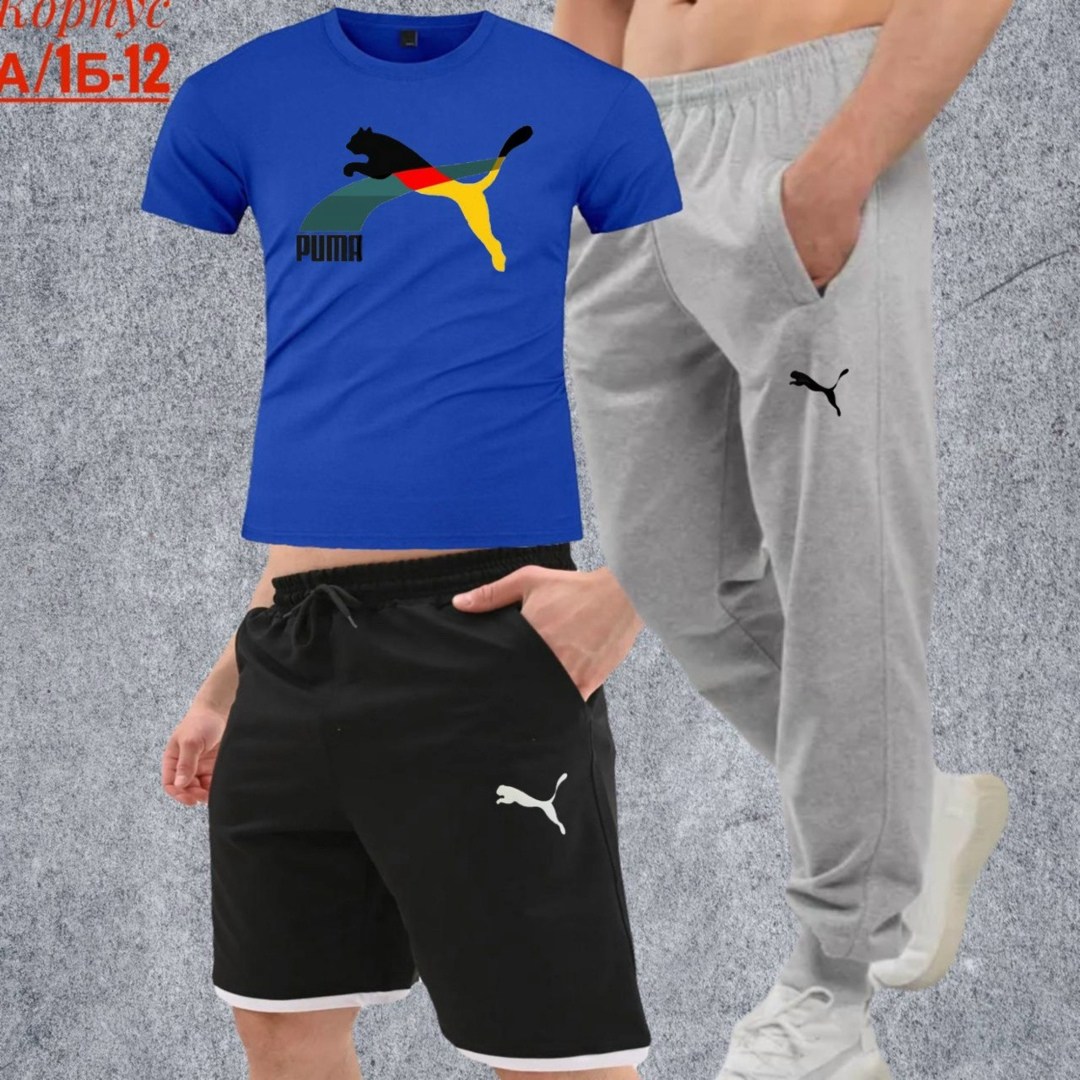 костюм спортивный мужской,спортивные костюмы,спортивный костюм мужской puma,костюм для мужчин,шорты футболка комплект мужской