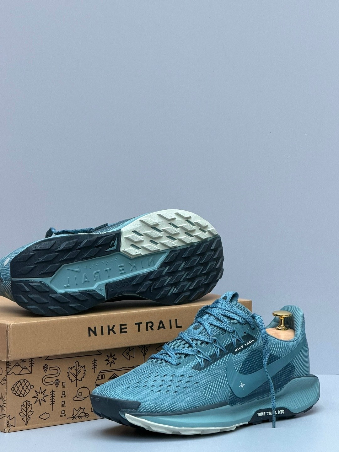 кроссовки nike pegasus trail,nike pegasus trail 5 gore tex,nike pegasus trail 5,кроссовки,кроссовки nike