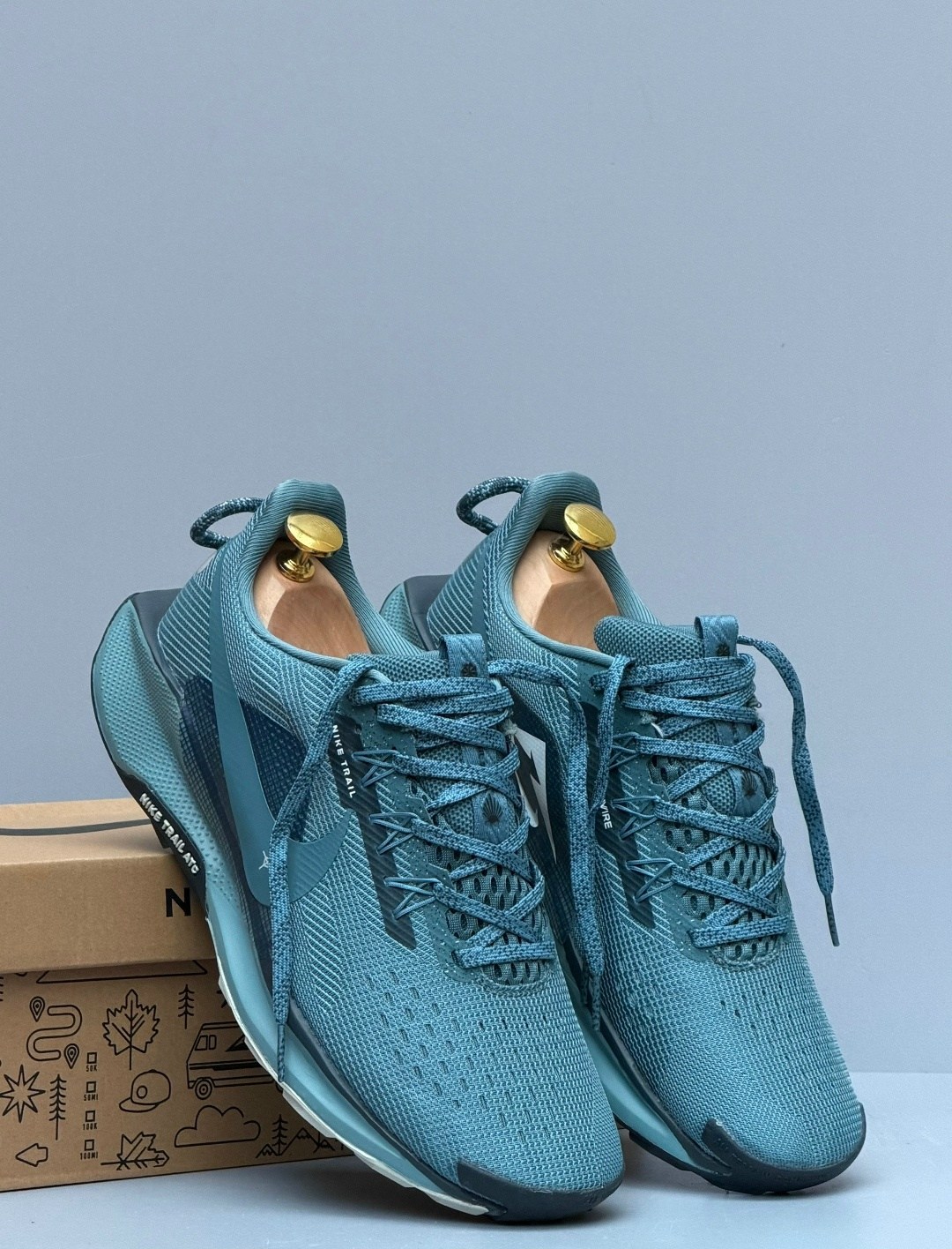 кроссовки nike pegasus trail,nike pegasus trail 5 gore tex,nike pegasus trail 5,кроссовки,кроссовки nike