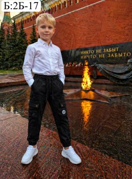 Штаны