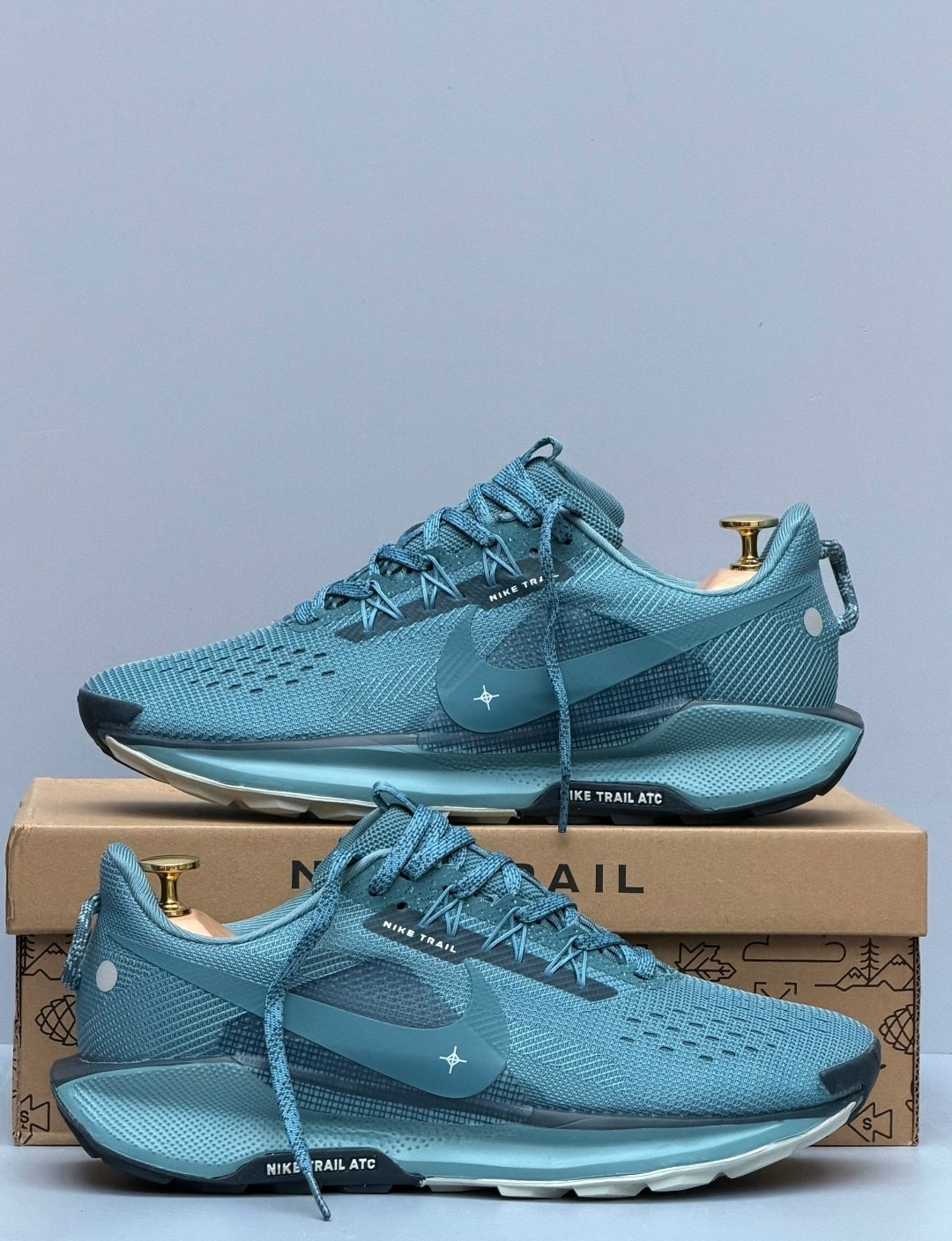 кроссовки nike pegasus trail,nike pegasus trail 5 gore tex,nike pegasus trail 5,кроссовки,кроссовки nike