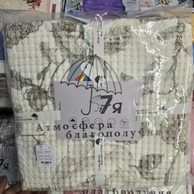 Одежда