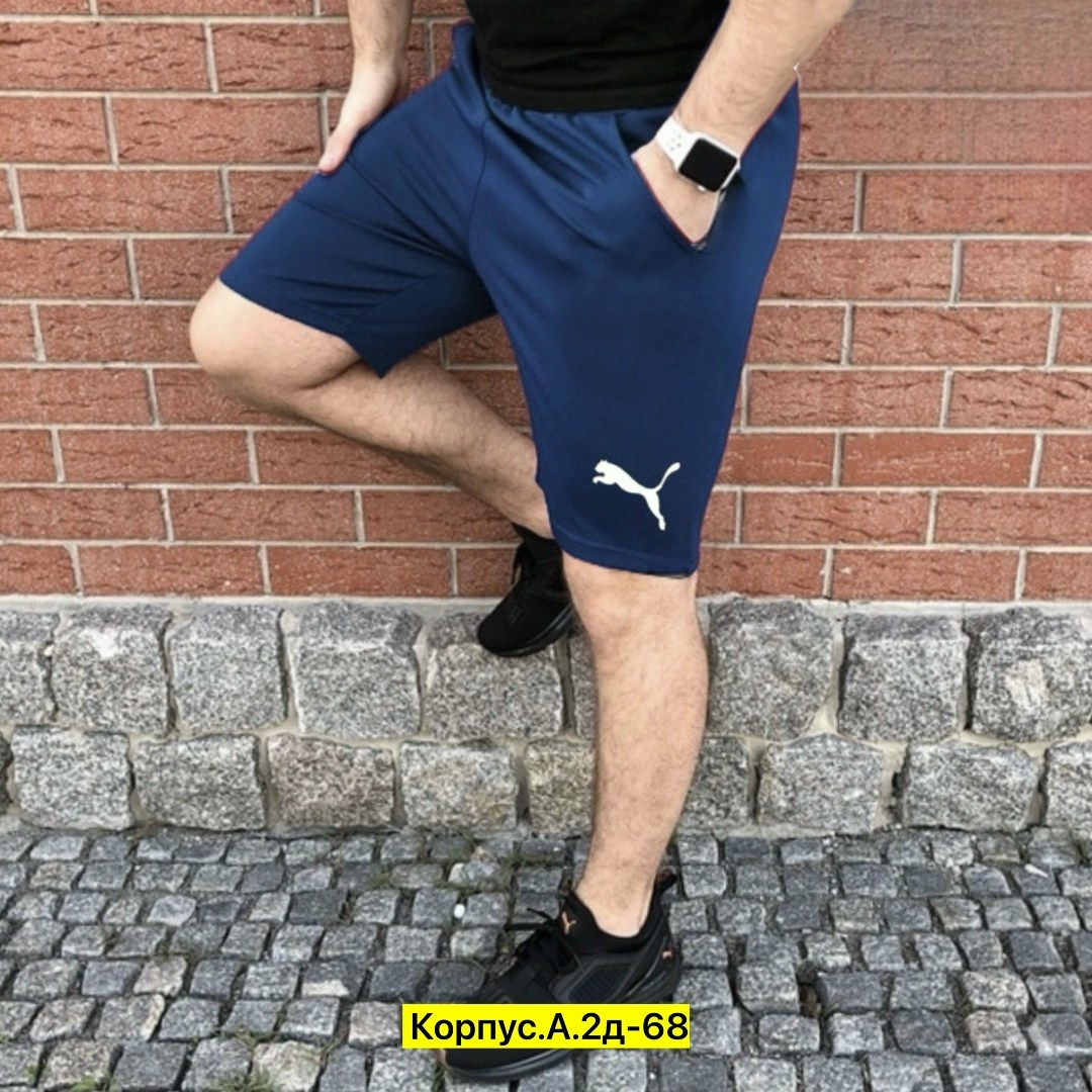 шорты мужские спортивные,шорты спортивные мужские трикотажные,шорты мужские,шорты мужские puma,шорты мужские спортивные найк пума