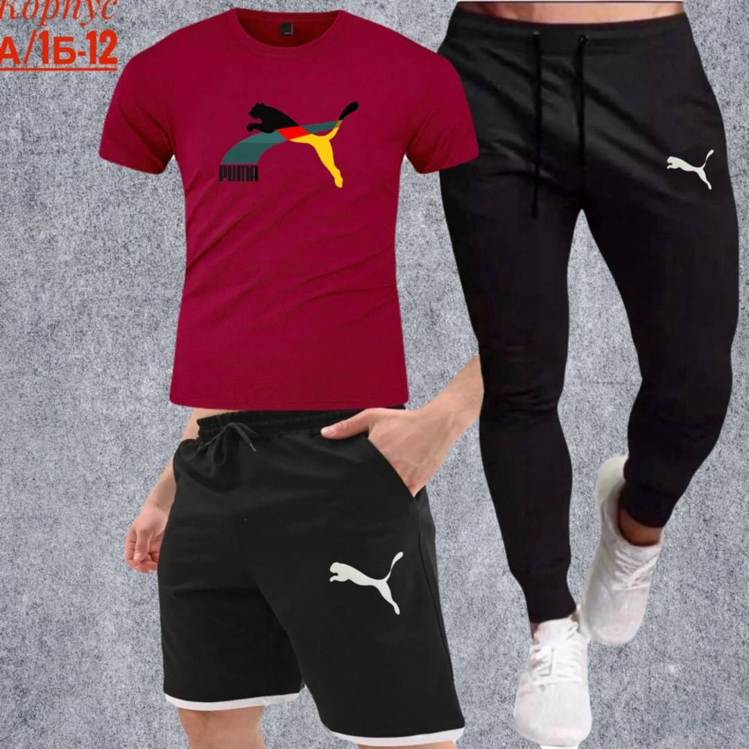 костюм спортивный мужской,спортивные костюмы,спортивный костюм мужской puma,костюм для мужчин,шорты футболка комплект мужской